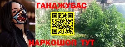 амф Можга