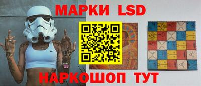 амф Можга
