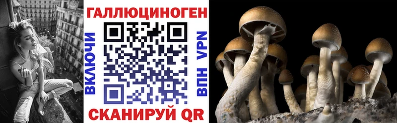 купить наркоту  Тихвин  blacksprut вход  Галлюциногенные грибы мицелий 